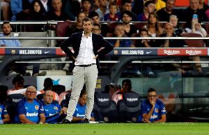 布莱顿队vs 狼队队直播