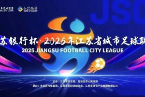 阿斯顿维拉队 vs埃弗顿队